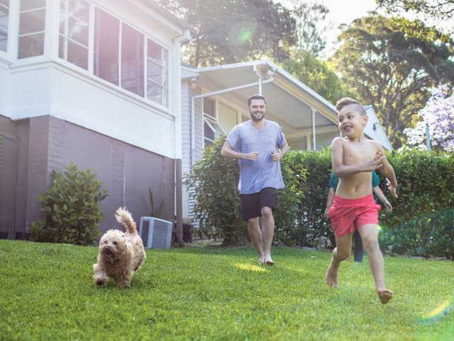 Family home pest inspection.