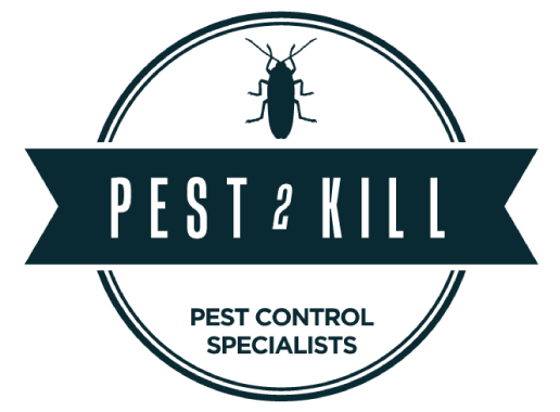 pest2kill