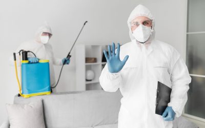 Debunking Common Pest Control Myths