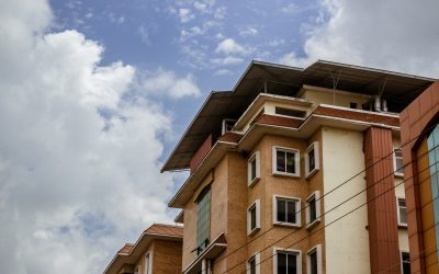 How Pest2Kill Protects Strata and Rental Properties with Professional Pest Control