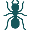 ants