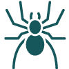 spider
